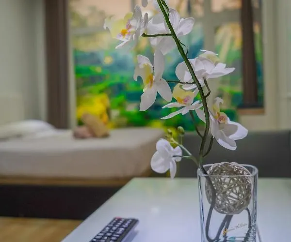 Vv 401 Vista Mar Con Balcon * Λας Πάλμας ντε Γκραν Κανάρια